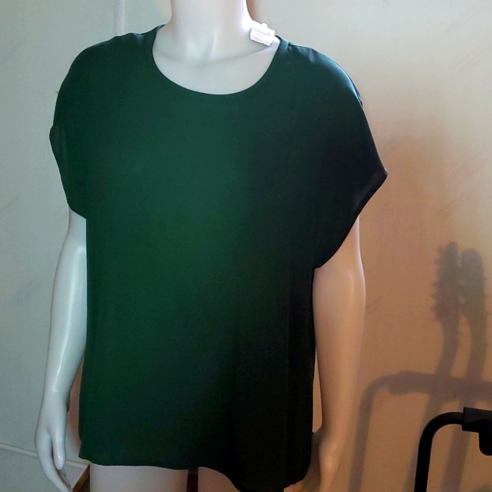 Green sheer blouse